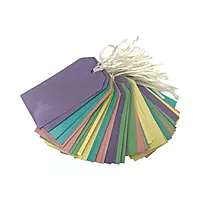 Pack of 10 Assorted Pastel Colour 120x60mm Strung Tags