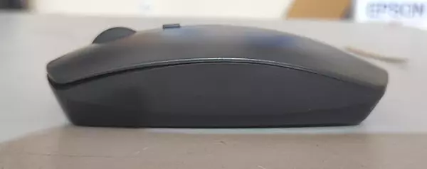 Prodot Wireless Mouse - PALM