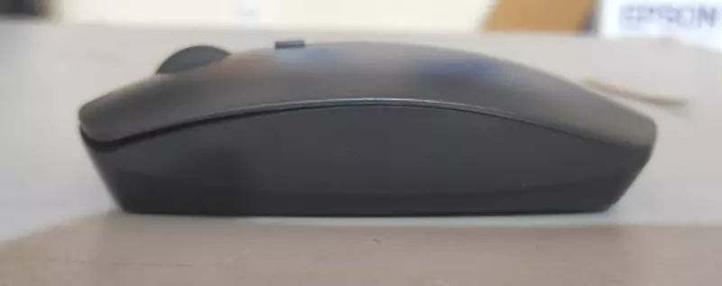 Prodot Wireless Mouse - PALM