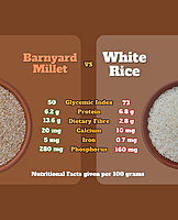 Barnyard Millet | Unpolished and Roasted