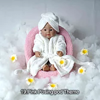 Studio Package (33 Themes)