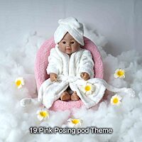 Studio Package (33 Themes)