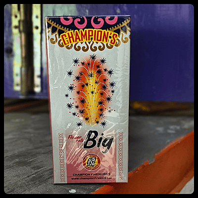 Flower Pots Big (10 Pcs)