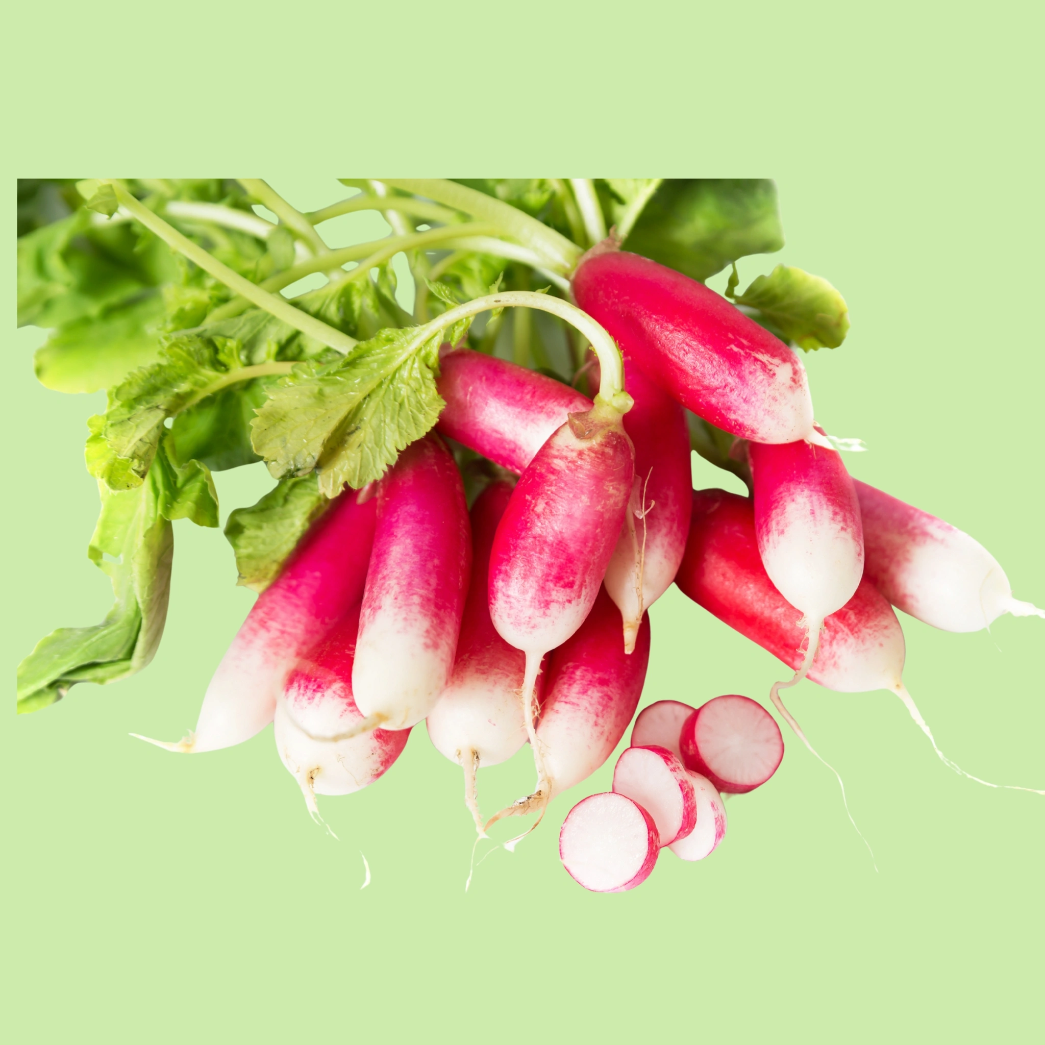 Radish Red - 500g