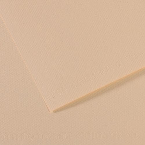 CANSON MI-TEINTES PAPER 112-EGGSHELL PK OF 10 CANSON MI-TEINTES PAPER 112-EGGSHELL PK OF 10