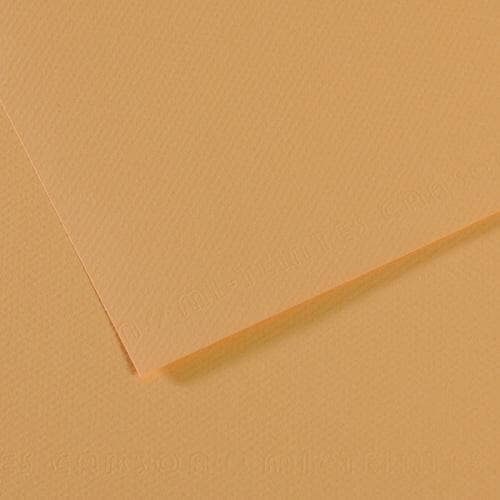 CANSON MI-TEINTES PAPER 340- Oyster PK OF 10 CANSON MI-TEINTES PAPER 340- Oyster PK OF 10