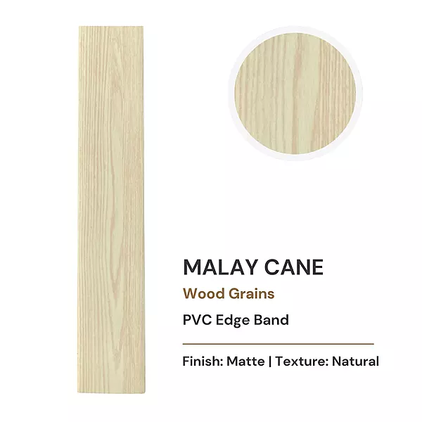 Malay Cane (R_2005)
