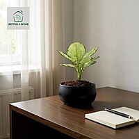 Matte Black Curve Planter