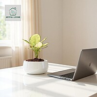 Pearl White Decorative Metal Planter