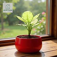 Cherry Red Modern Metal Planter