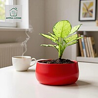 Cherry Red Modern Metal Planter