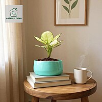 Cyan Glow Decorative Planter
