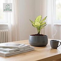 Smoky Grey Decorative Metal Pot