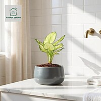 Smoky Grey Decorative Metal Pot