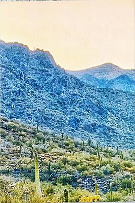 தன்னுணர்வு