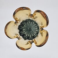 Vase 4 x 11 inch Black