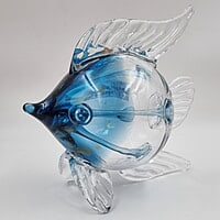 Circular Transparent Fish Ocen Blue