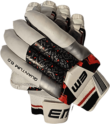 AASHRAY EM Quantum 6.0 Leather Palm Cricket Batting Gloves LH