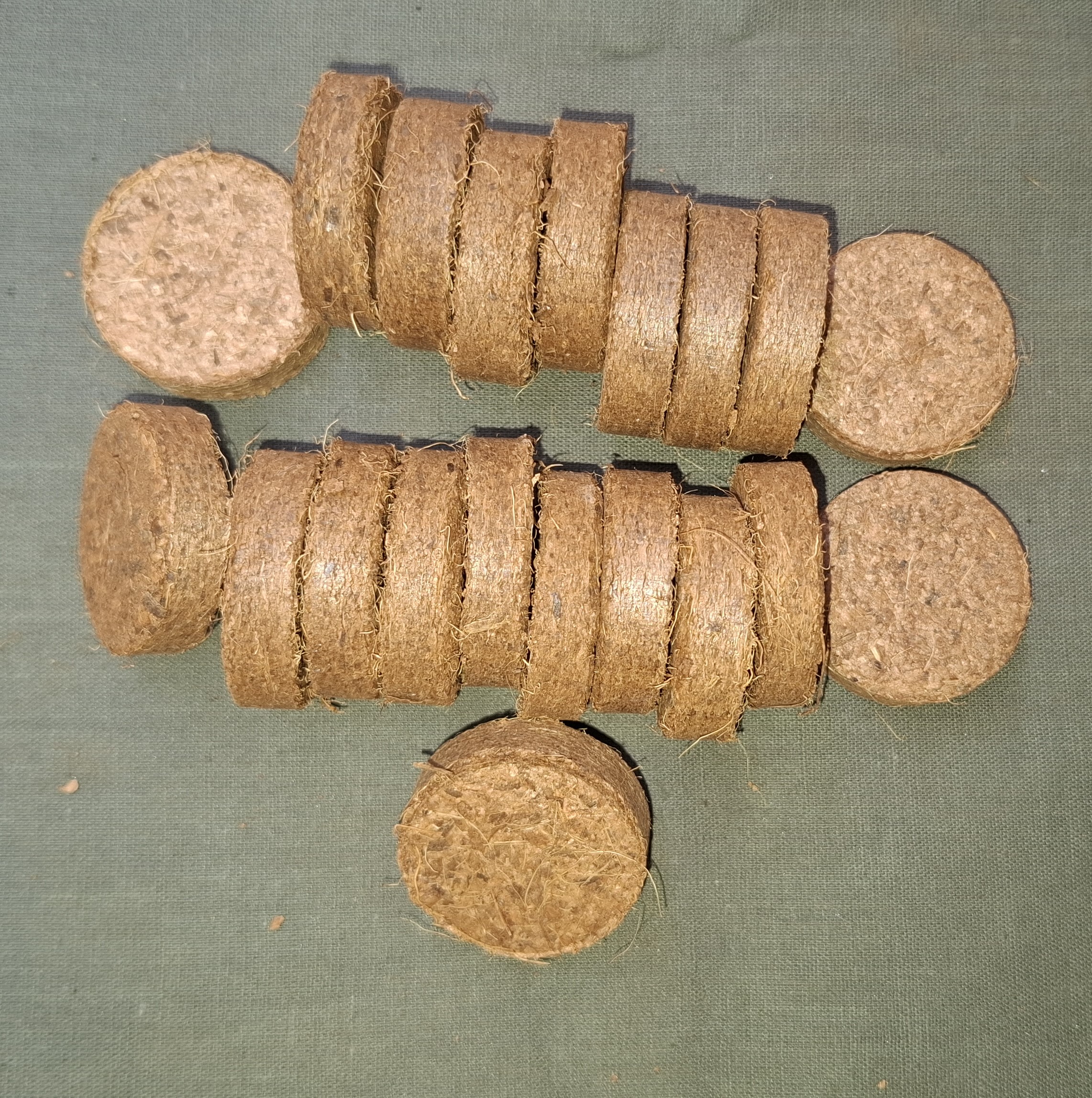 30mm Cocopeat Seedling Coin pack of 20