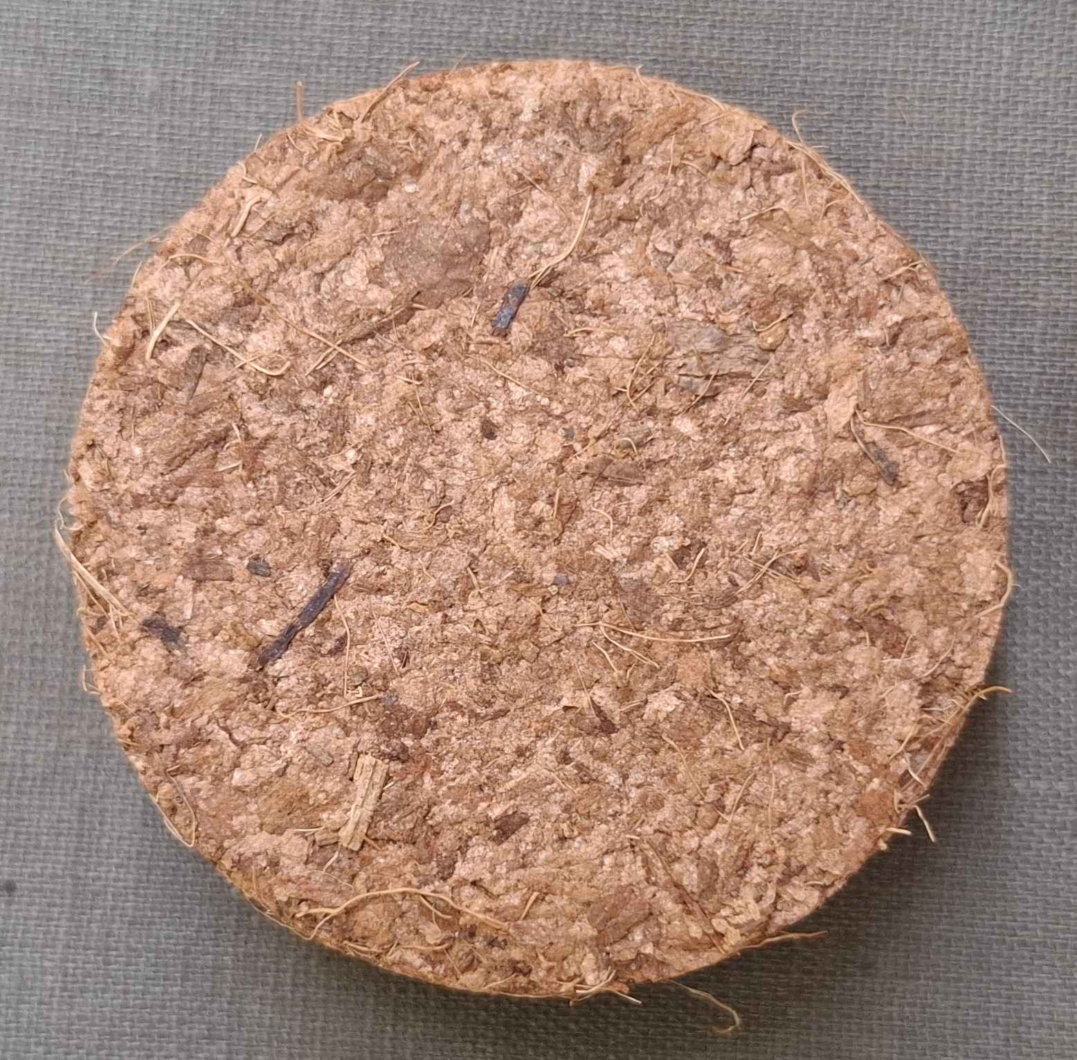 40mm Cocopeat Seedling Coin pack of 20