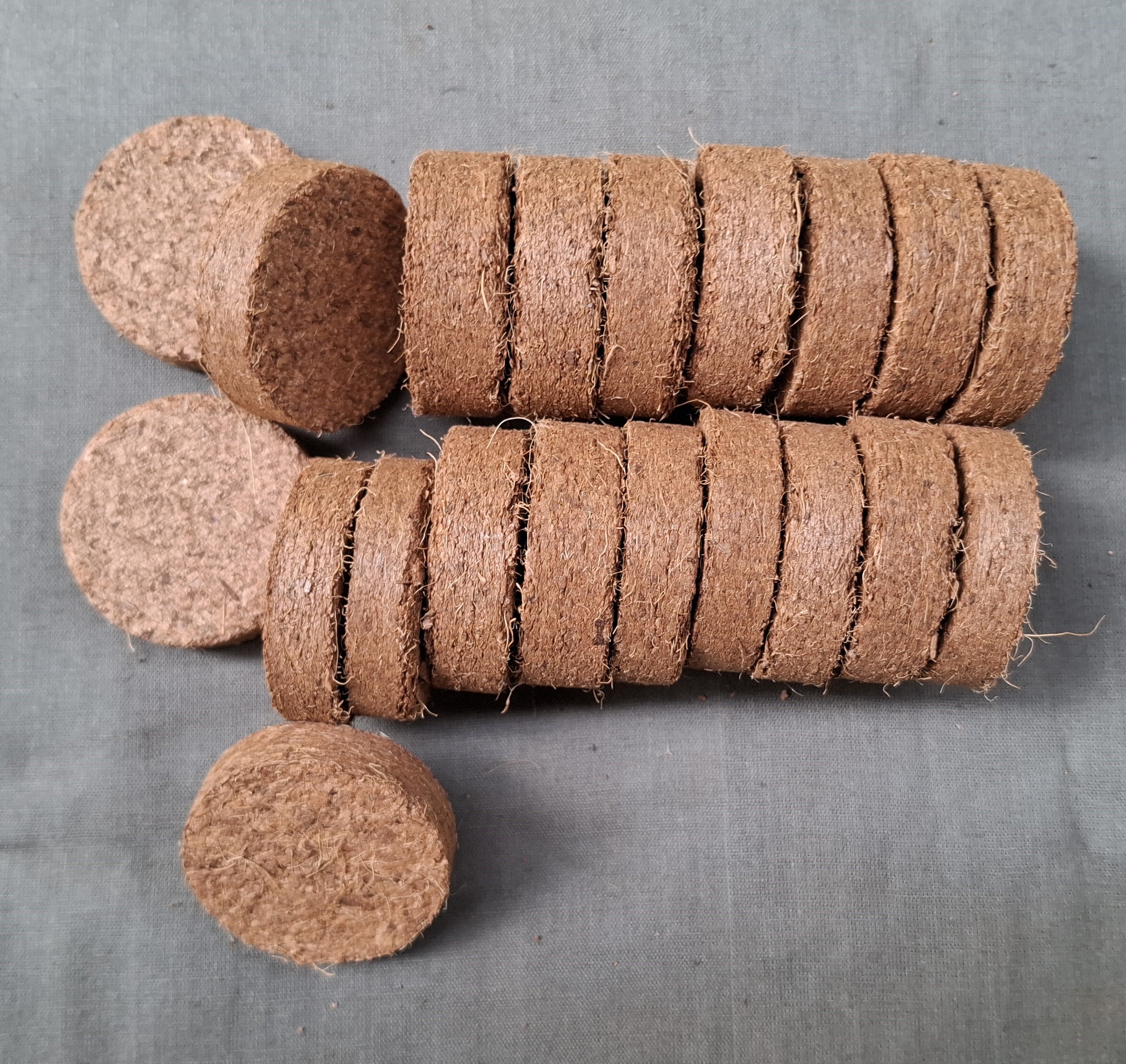 40mm Cocopeat Seedling Coin pack of 20