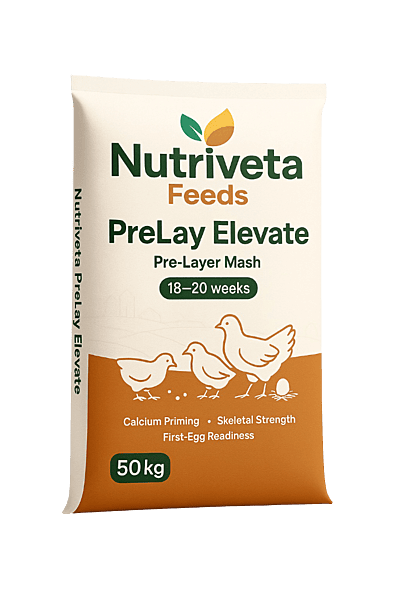 PreLay Elevate