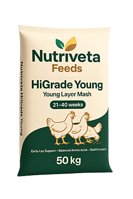 Hi Grade-I (Layer Mash/Pellet)