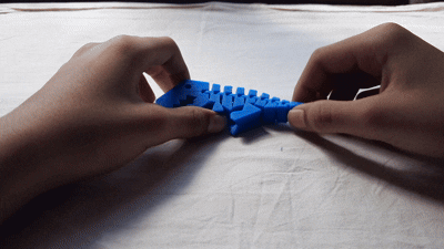 The 3D Printed Flexi Dinosaur