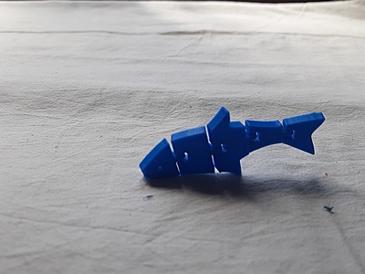 Flexi Fish