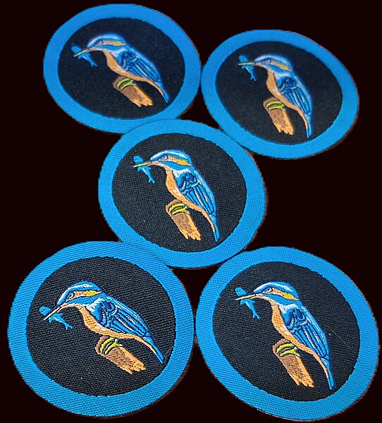 BulBul Six's Emblem Kingfisher