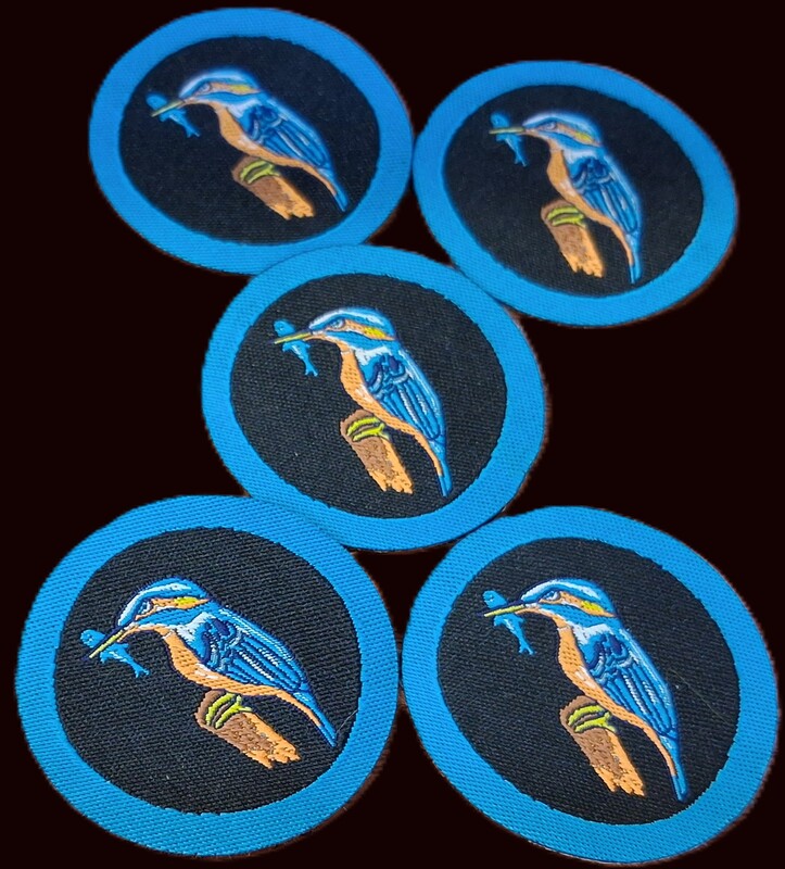 BulBul Six's Emblem Kingfisher