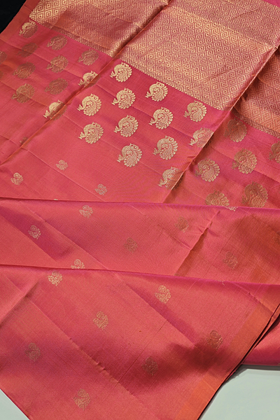 Samyuktha - The Silk Walk Exclusives - 23495