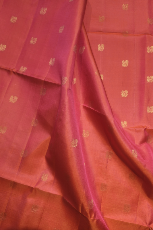 Samyuktha - The Silk Walk Exclusives - 23495