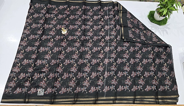 Sachi Lenin Cotton