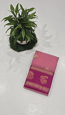 Kanchi Cotton Bentex Pattu (id 1902)