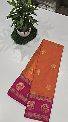 Kanchi Cotton Bentex Pattu (id 1906)