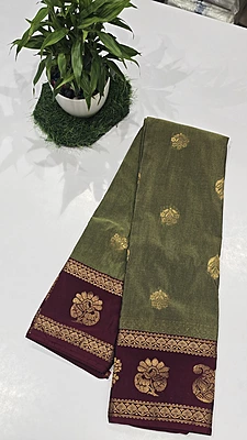 Kanchi Cotton Bentex Pattu (id 19010)