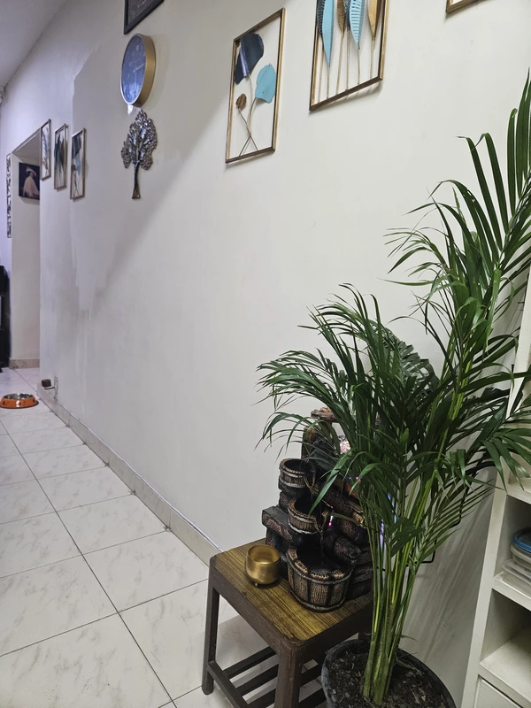 The Healer The healers home J 115 Noida ,Delhi NCR