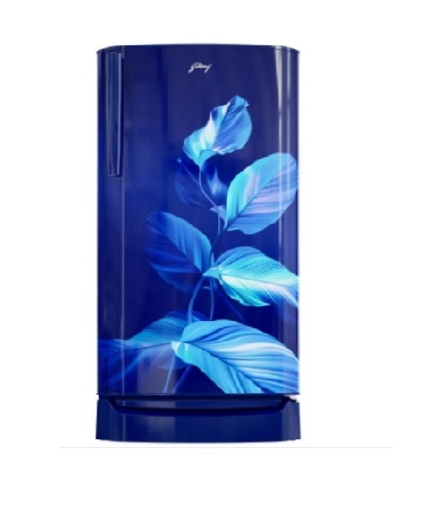 RD ERIOPLS 205A THF SILVER BLUE