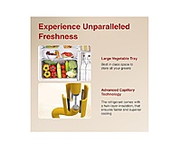 RD EDGE 205B WRF PPBL