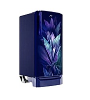 RD ERIOPLS 205C THF AZURE BLUE