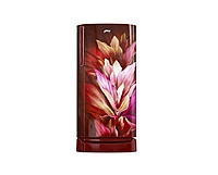 RD ERIOPLS 205C THF AZWN