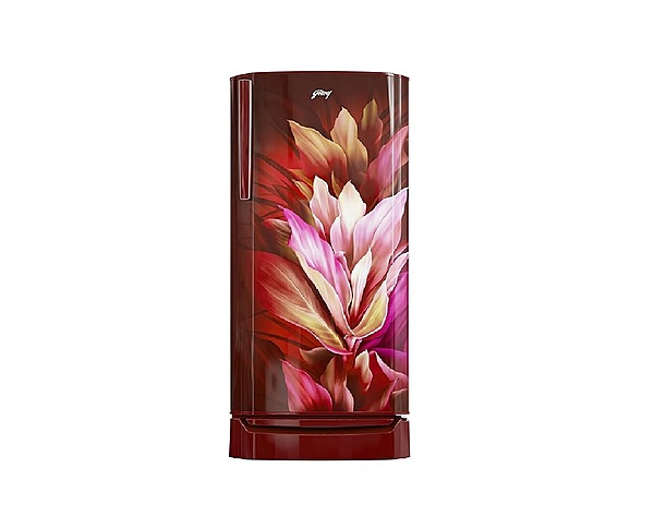 RD ERIOPLS 205C THF AZWN