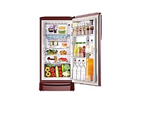 RD ERIOPLS 205C THF AZWN