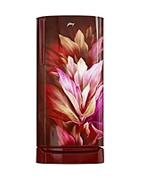 RD ERIOPLS 205C THF FLORA WINE