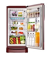 RD ERIOPLS 205C THF FLORA WINE