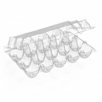Egg Trays :15 Egg Tray