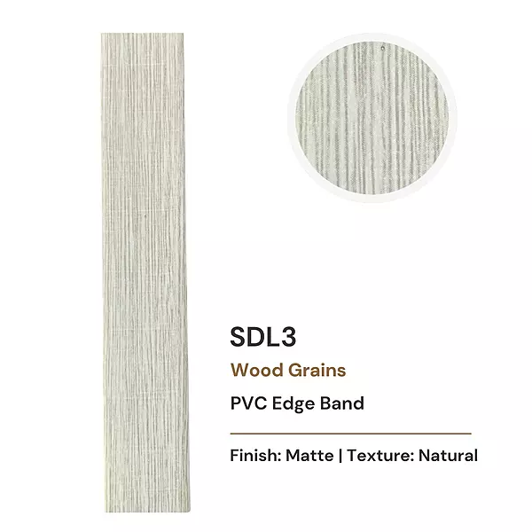 SDL_3 (R_2088)