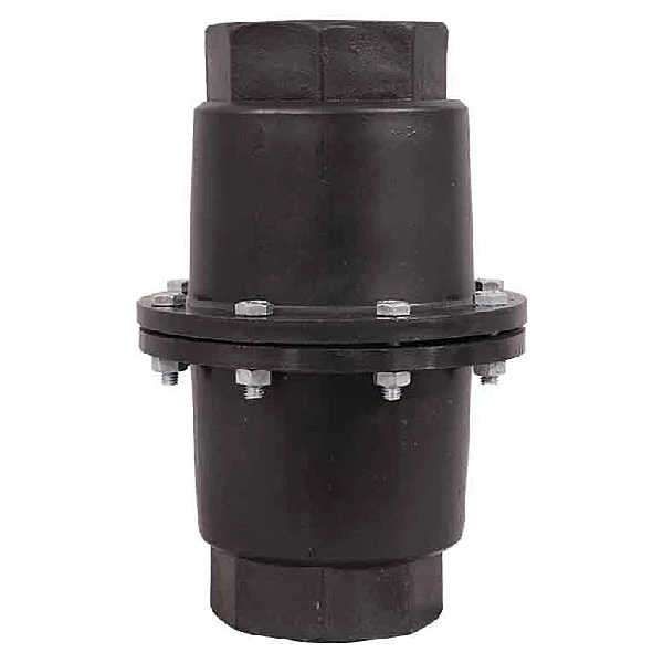 Non Return Valve / 2 Inch