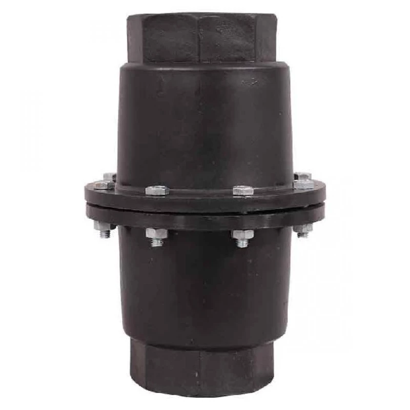 Non Return Valve / 2 Inch